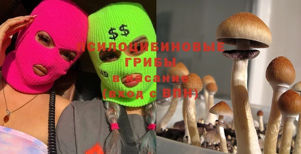 тгк Бежецк