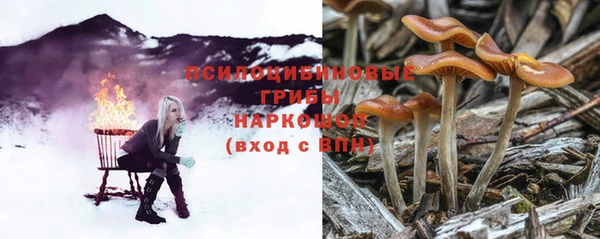 мяу мяу мука Надым